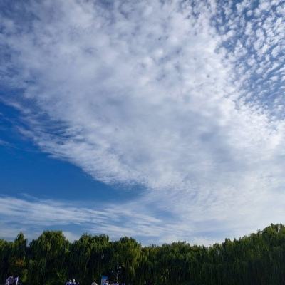 透过遥感卫星看十年变迁 “数”说青海湖生态恢复巨大成就